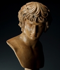 Picture of Grand Tour terracotta bust of the Antinous Farnese by Sommer 