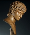 Picture of CA0345 Grand Tour terracotta bust of the Antinous Farnese by Sommer 